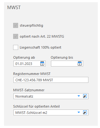 Screenshot: Gruppe MWST – Felder für Steuerpflicht, Optierung, Registernummer und MWST-Satznummer
