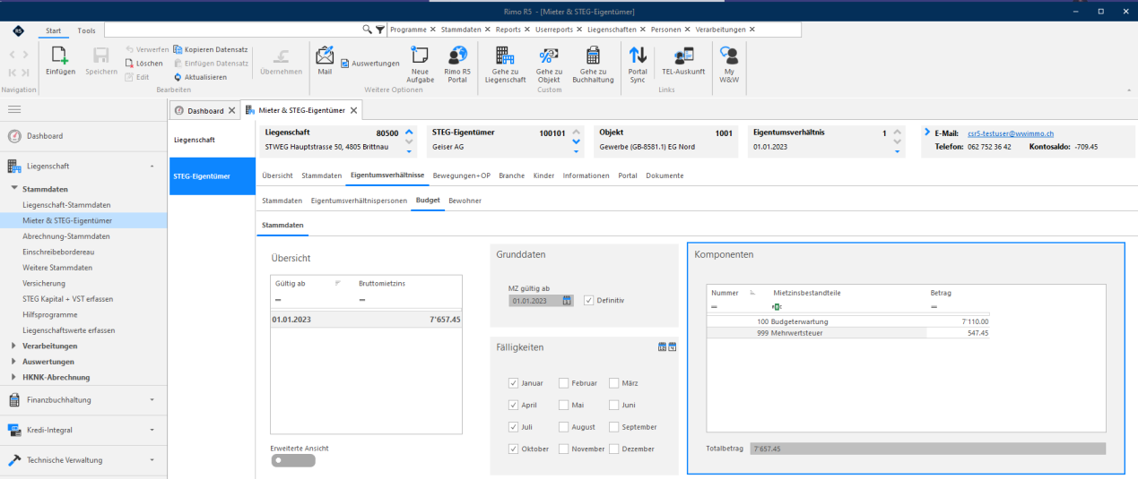 Screenshot: Budget-Stammdaten – automatisch ergänzter Bestandteil Mehrwertsteuer