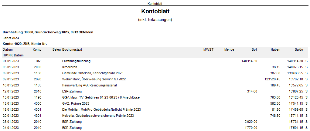 Screenshot: Kontoblatt mit Vorjahressaldo, Budget und prozentualem Vergleich