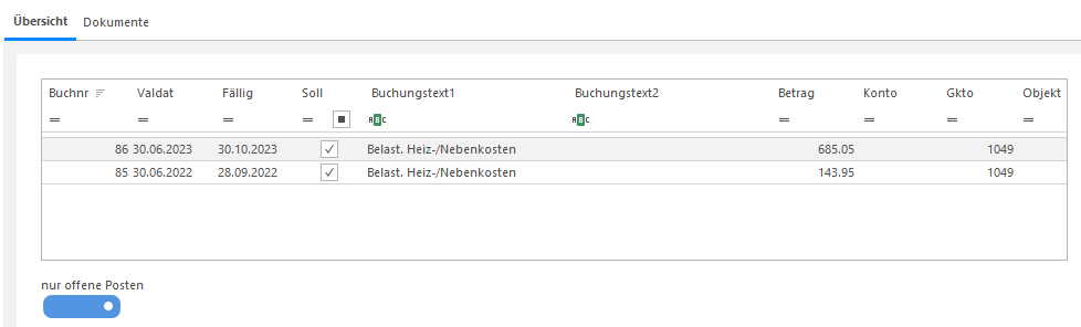 Screenshot: Übersicht der offenen Posten mit aktiviertem Schalter Nur offene Posten