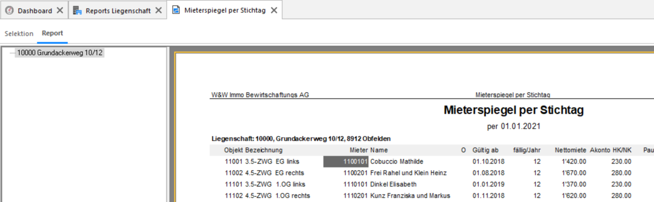 Screenshot: Reportansicht als separates, angedocktes Register