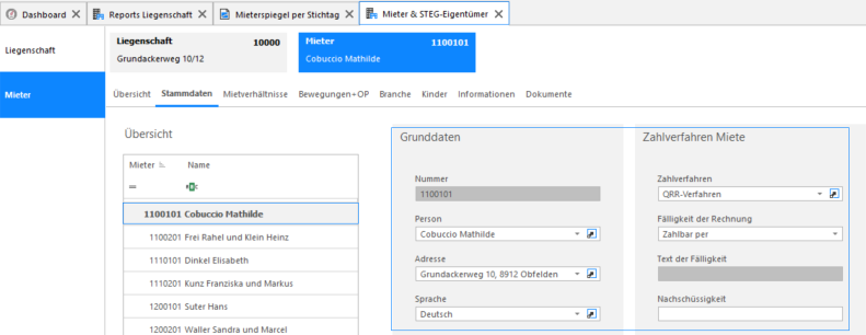 Screenshot: Reportselektion mit geöffneten Auswertungsoptionen