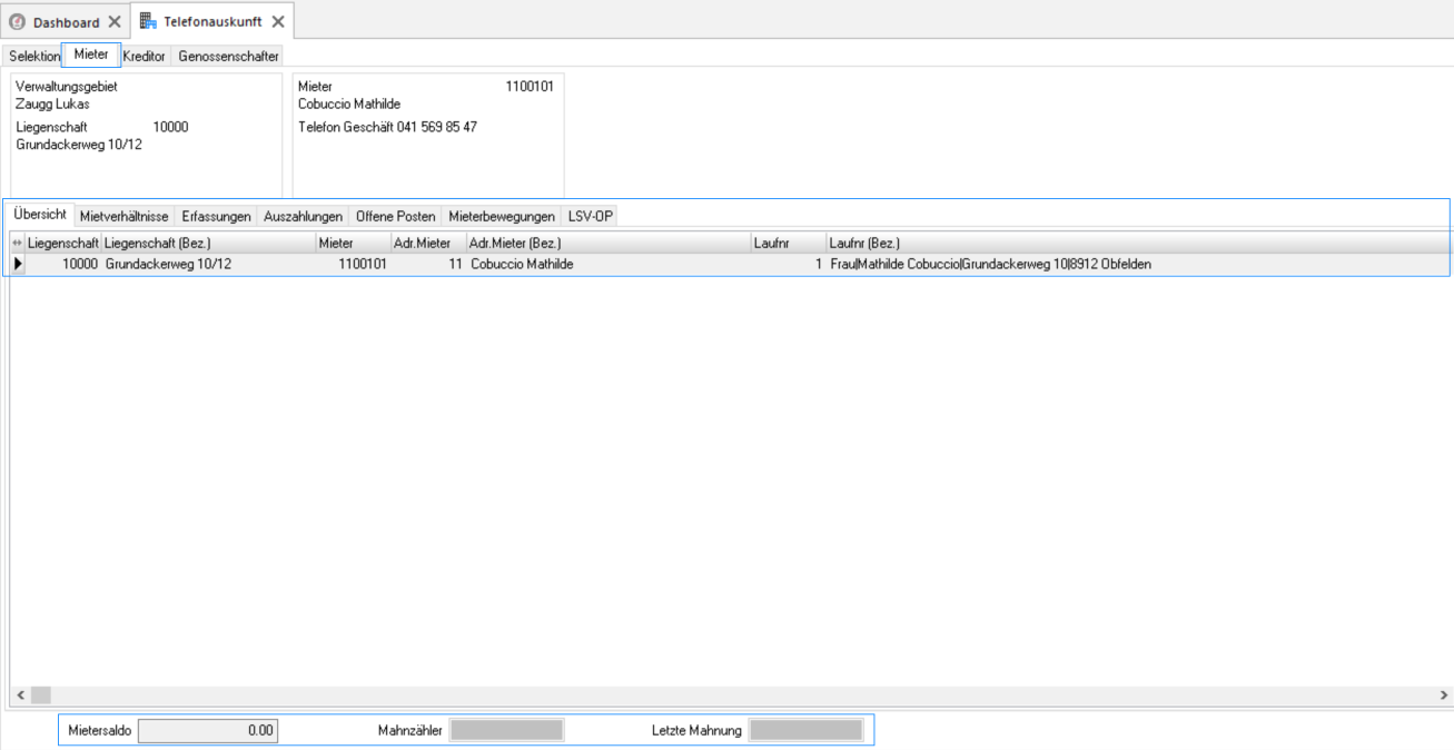 Screenshot: Telefonauskunft mit Detailinformationen zur ausgewählten Person und Register «Mieter»