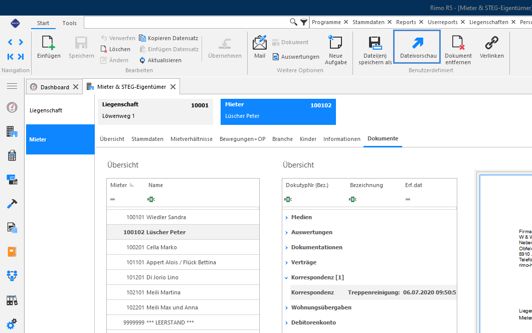 Screenshot: Stammdaten-Register eines Dokuments mit hervorgehobener Funktion «Dateivorschau»
