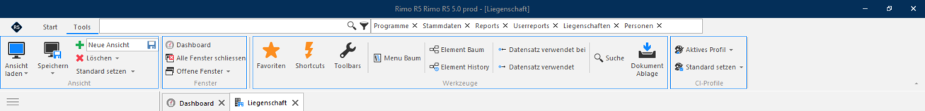 Screenshot: Kopieren und Einfügen eines Datensatzes über das Menüband