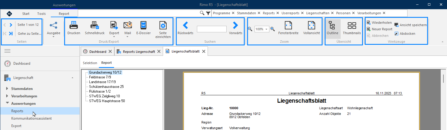 Screenshot: Registerkarte Report mit Navigations-, Druck-, Such- und Zoomfunktionen