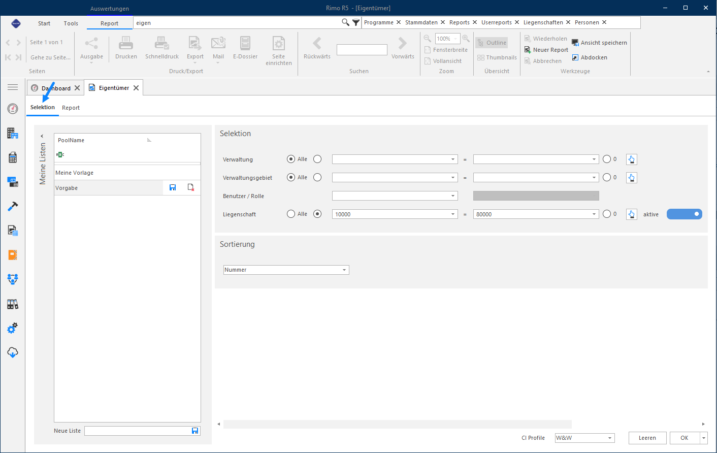 Screenshot: Angedockte Selektions- und Reportmaske