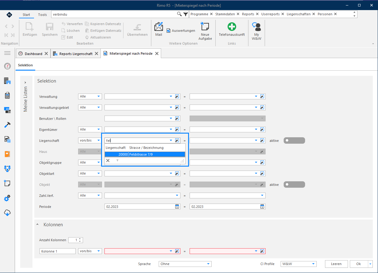 Screenshot: Volltextsuche in Dropdown-Feldern einer Reportselektion