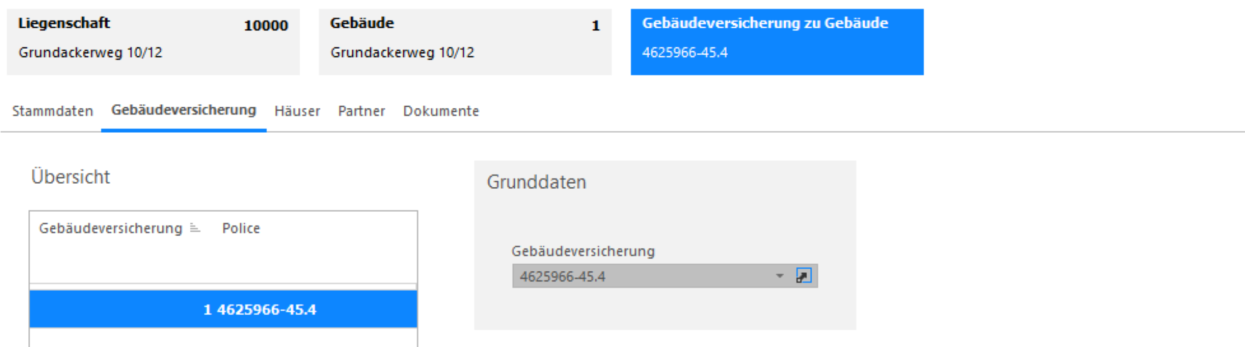 Screenshot: Gebäudeversicherung im Unterregister des Gebäudes
