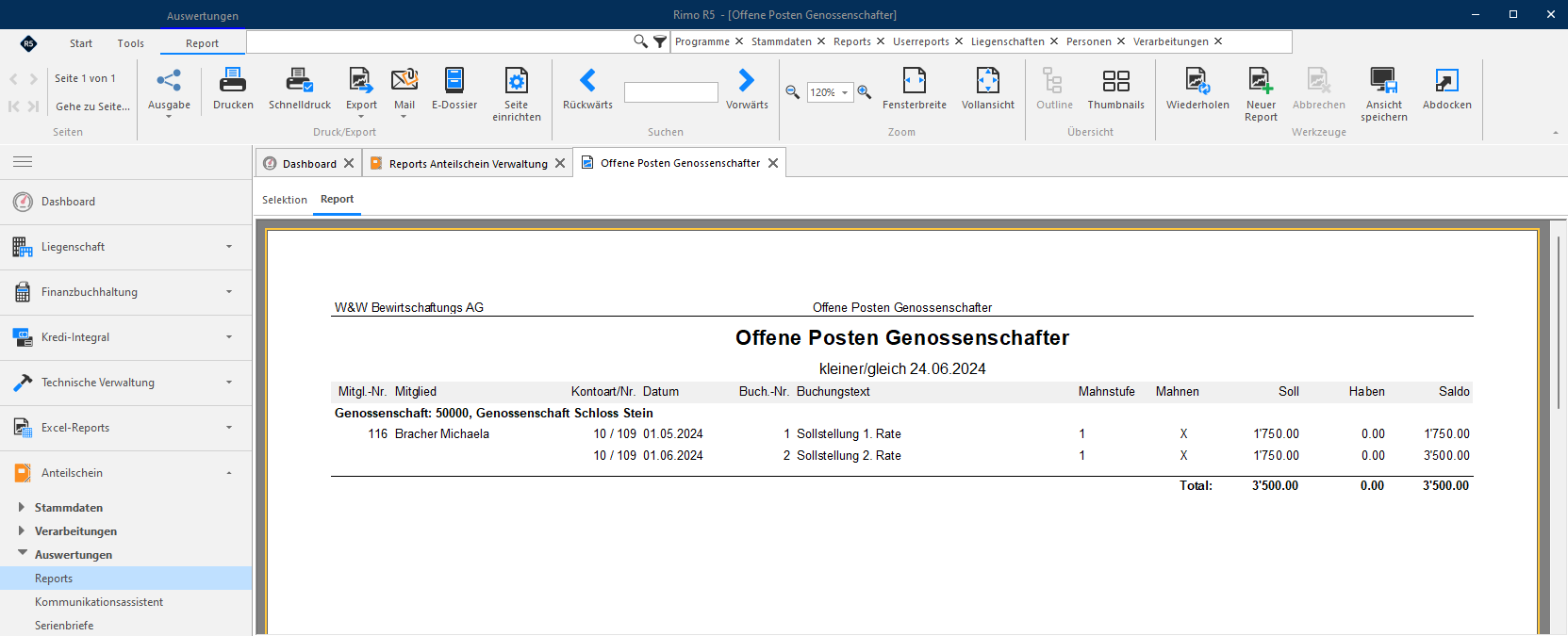 Screenshot: Report Offene Posten Genossenschafter