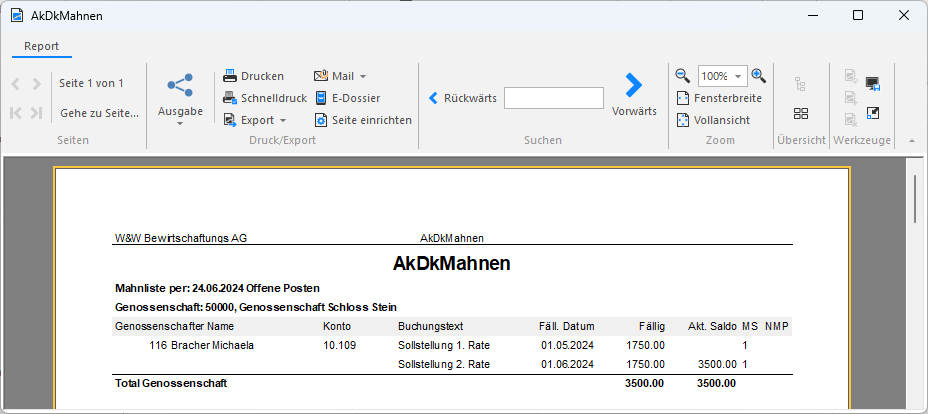 Screenshot: Ausgegebene Mahnliste der offenen Posten