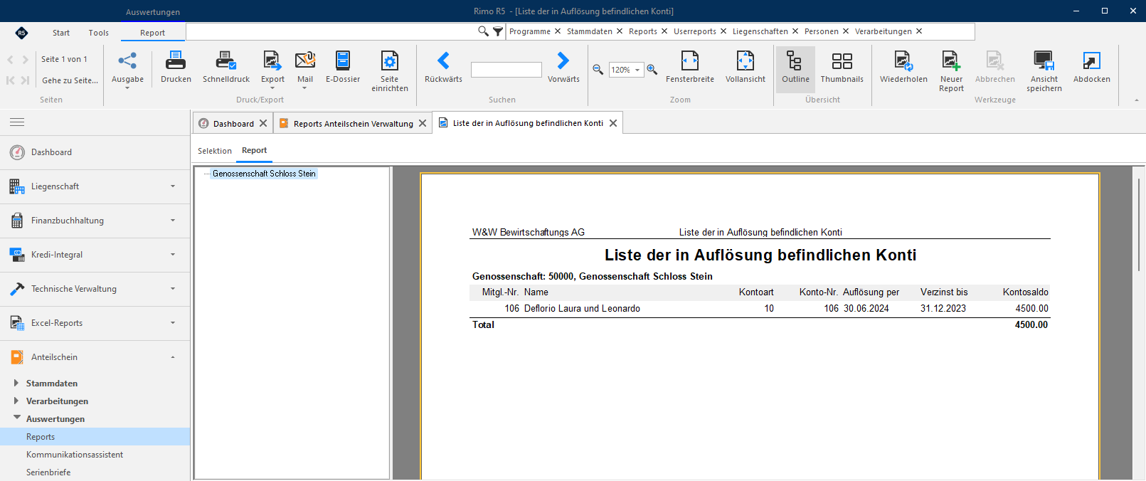 Screenshot: Report Liste der in Auflösung befindlichen Konti