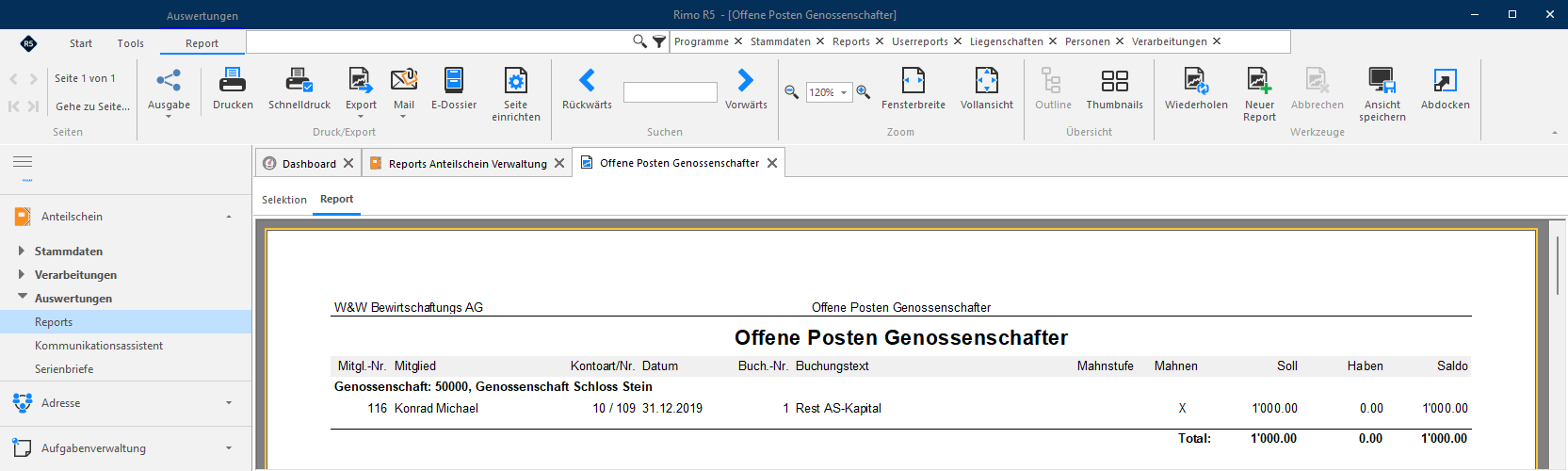 Screenshot: Report Offene Posten Genossenschafter mit offenen Sollstellungen