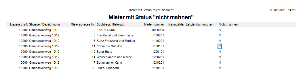 Screenshot: Ergebnis des Reports «Mieter mit Status ‹nicht mahnen›» mit Auflistung der Mieter, Mahnzähler, letztem Mahndatum und Kennzeichnung «Nicht mahnen» (Y/N)
