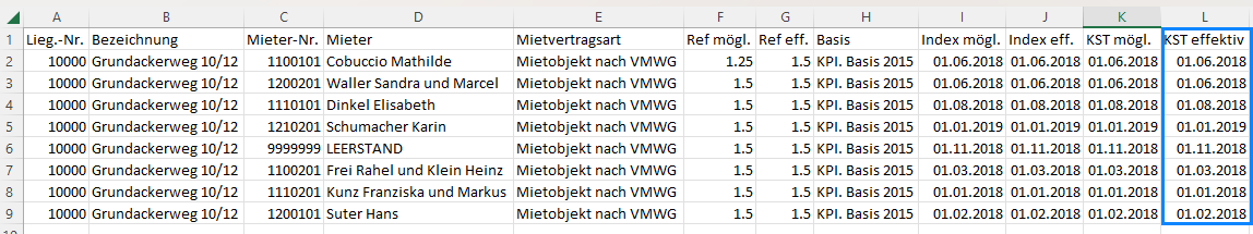 Screenshot: Der Report «Mietzinsbasen pro Mietvertrag» als csv-Export, geöffnet in Excel mit allen Spalten vollständig sichtbar
