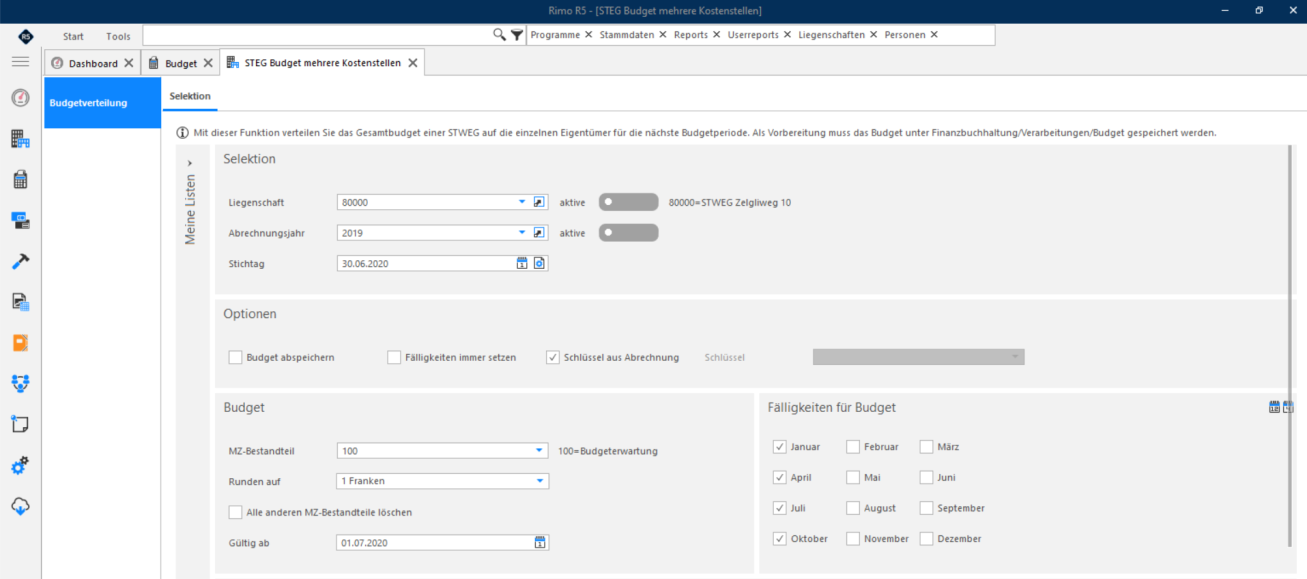 Screenshot: Layoutoptionen der Budgetverteilung mit Sortierung und Bezeichnung für das Einzelbudget