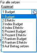 Screenshot: Auswahlliste der verfügbaren Kopierarten für Budgets