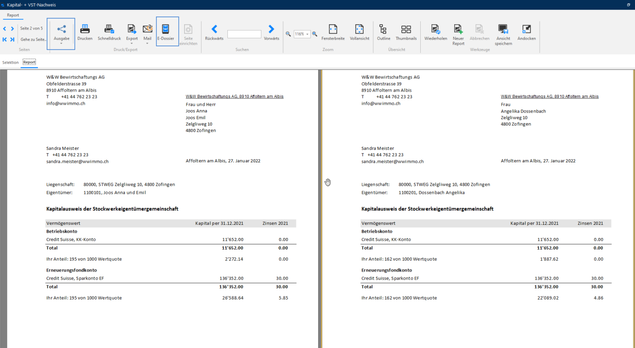 Screenshot: Vorschau eines Kapitalnachweises für STEG-Eigentümer