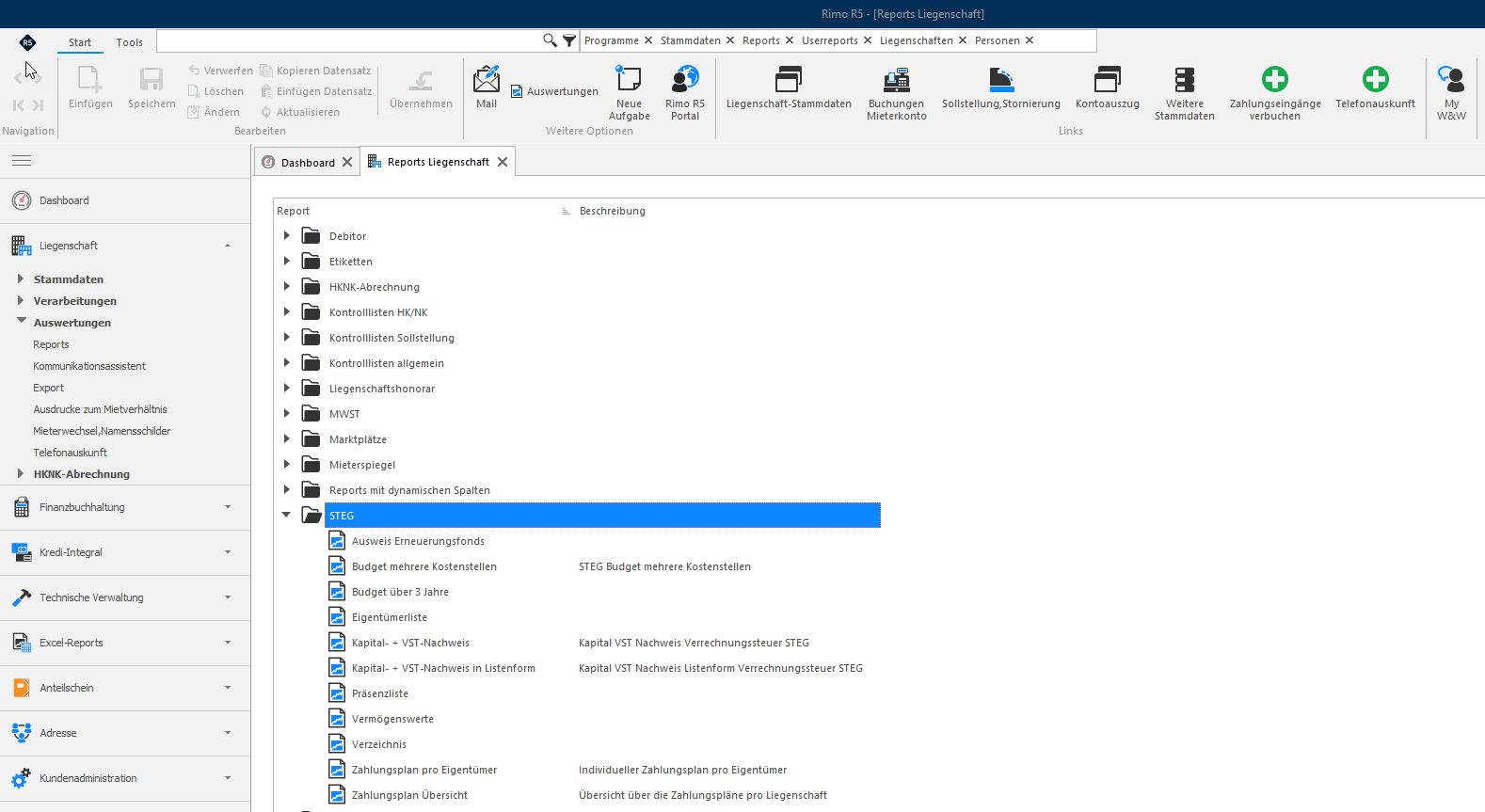 Screenshot: Auswahl der weiteren STEG-Auswertungen im Register Reports