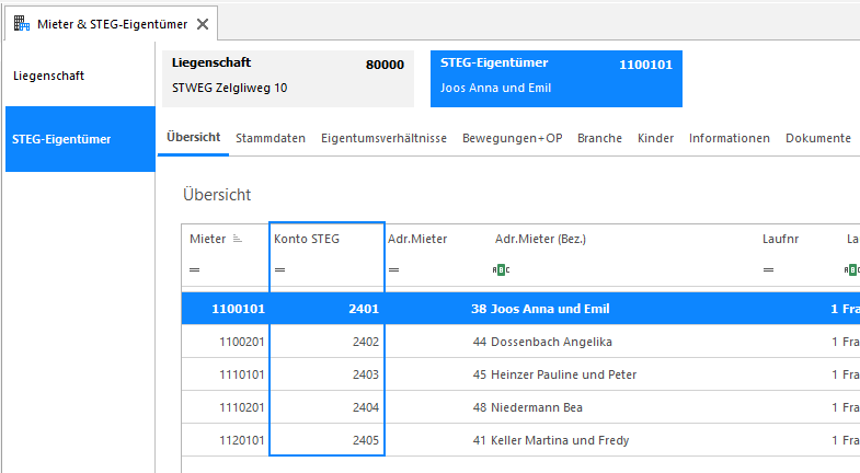 Screenshot: STEG-Eigentümer-Übersicht mit eingeblendeter Spalte Konto STEG