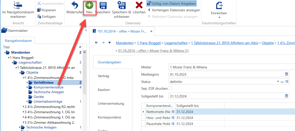Screenshot: 1.13 Verhältnis erfassen
