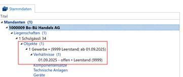 Screenshot: Pseudoobjekt mit Pseudoverhältnis als Basis für den Honorarlauf