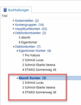 Übersicht der Debitorenkontoarten mit vollständigen Akonti-Konten
