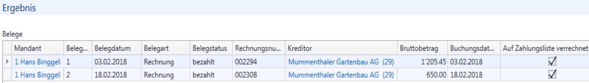 Auswertungen/Belegauszug
