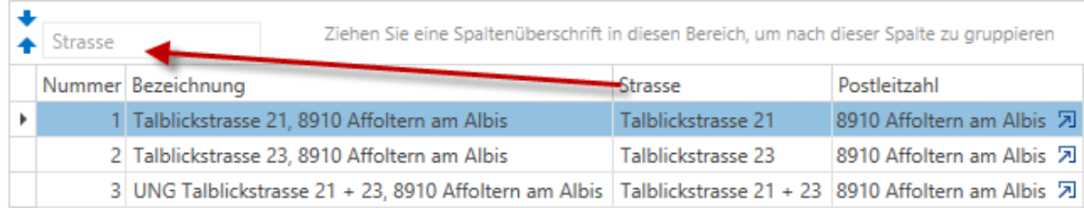 Gruppierungsfeld/Spaltenüberschriften