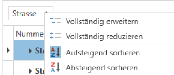 Gruppierungsfeld/ Einstellung