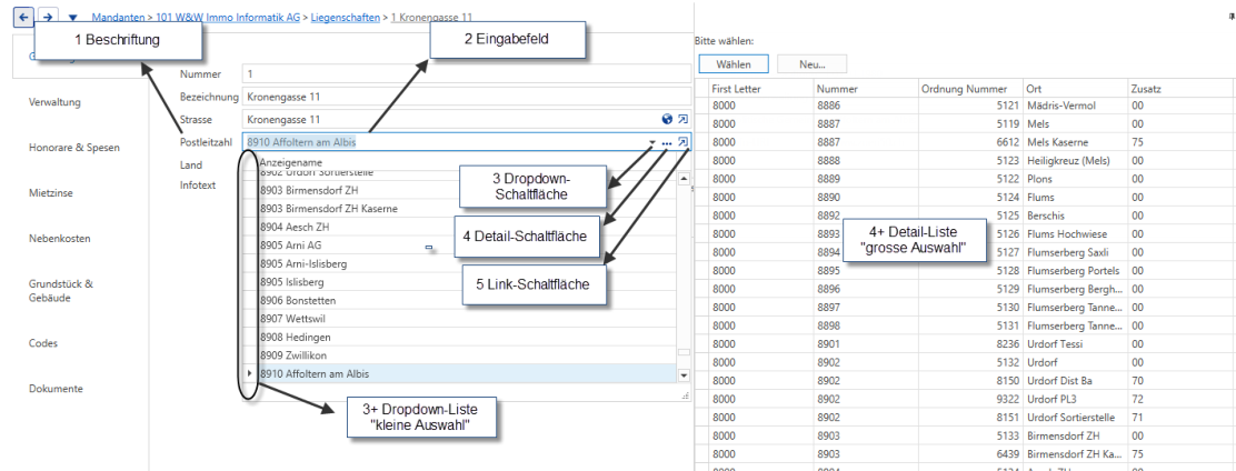 Fünf beschriftete Bedienelemente: 1 Beschriftung, 2 Eingabefeld, 3 Dropdown-Schaltfläche mit kleiner Auswahlliste, 4 Detail-Schaltfläche mit grosser Auswahlliste und 5 Link-Schaltfläche.