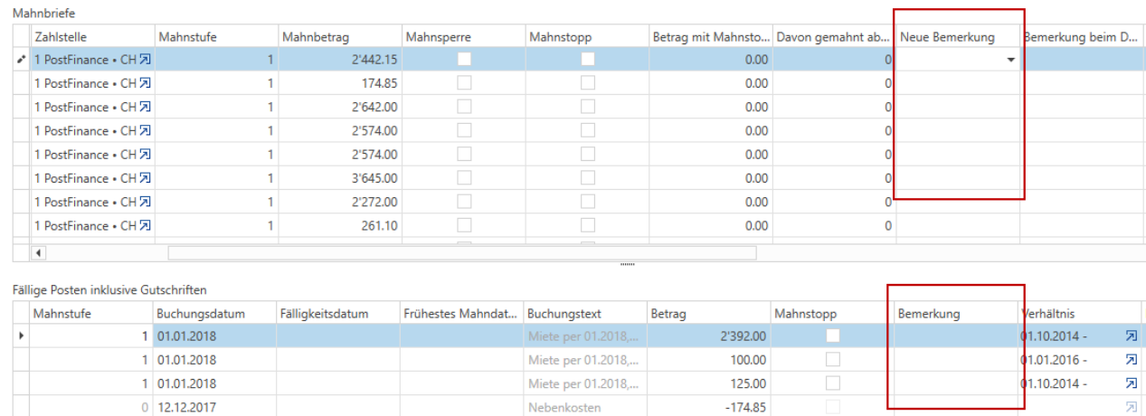 Detailtabelle / Mahnbemerkungen