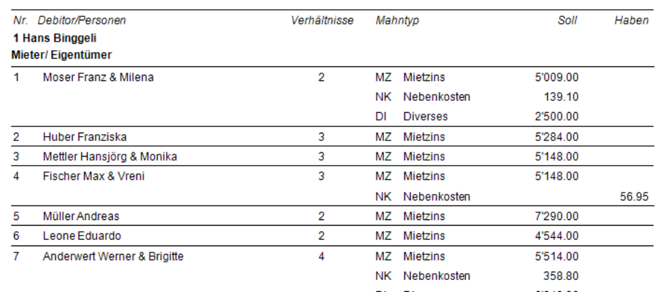 Saldoliste mit Soll- und Haben-Saldo