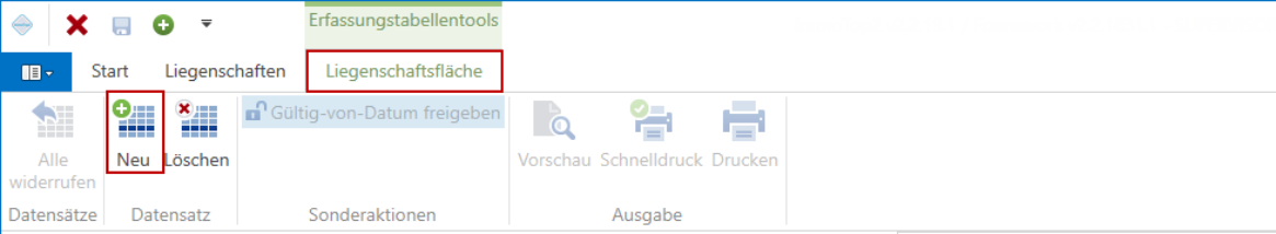Menüband/Liegenschaftsfläche