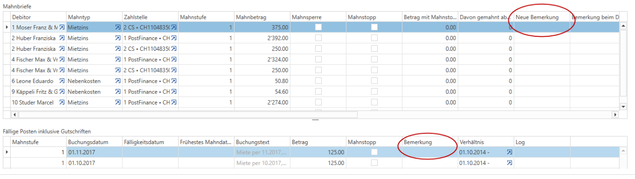 Detailtabelle/Mahnbemerkungen