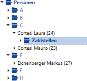 Stammdaten/Personen/Zahlstellen