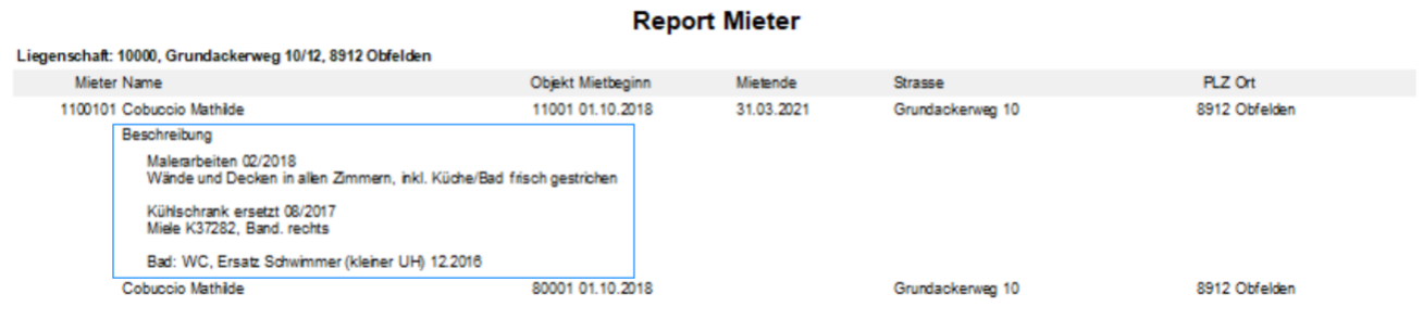 «Report Mieter» mit Beschreibung: je Mieter Objekt, Mietbeginn, Mietende, Strasse und Ort, darunter blau umrandet der Beschreibungstext mit den Renovationsangaben zum Objekt.